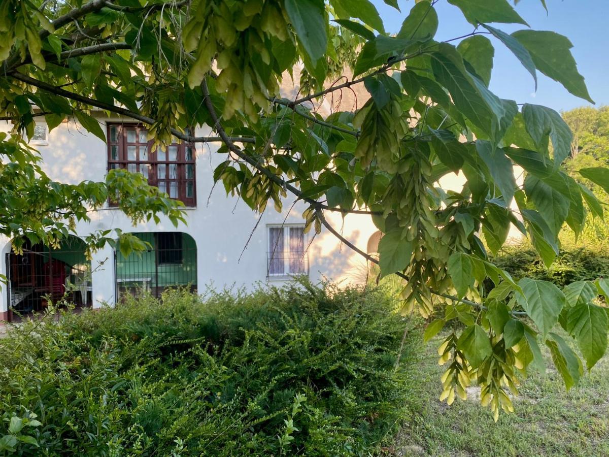 Toereki 34 Vendeghaz Apartment Siofok Bagian luar foto